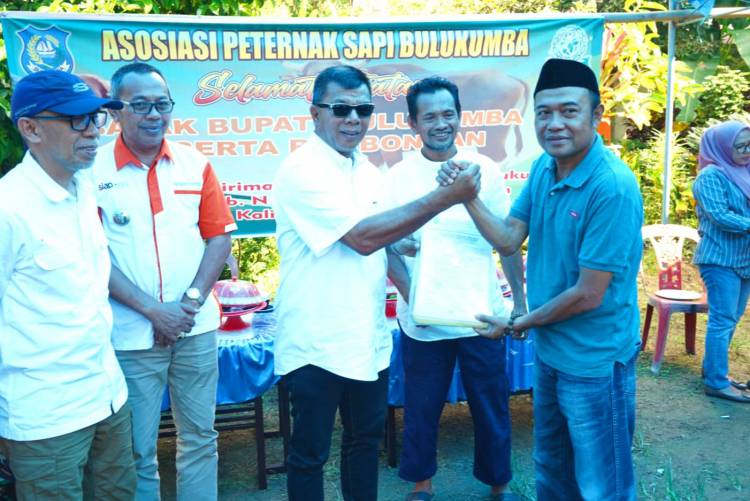 Bulukumba Kembali Pasok Sapi Kurban ke Kalimantan Utara, Dua Kali Lipat dari Tahun Lalu