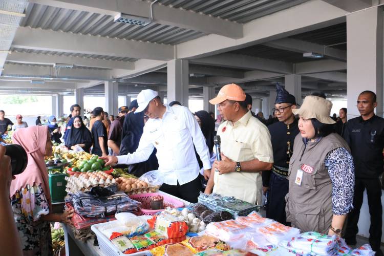 Pj Gubernur Prof Fadjry Djufry Tinjau Pasar Sentral Bulukumba, Revitalisasi Dorong Pertumbuhan Ekonomi Daerah