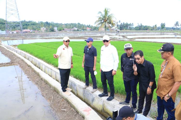 Pj Gubernur Prof Fadjry Djufry, Tinjau Bangunan Irigasi Pracetak