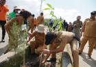 Peringati Hari Lingkungan Hidup, DLHK Tanam Pohon di Pantai Merpati