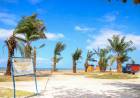 Percantik Pantai Merpati, DLHK Tanami Pohon Sawit