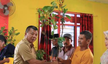 Serahkan Bibit Unggul di Dampang dan Benteng Gantarang, Andi Utta: Petani Harus Kaya