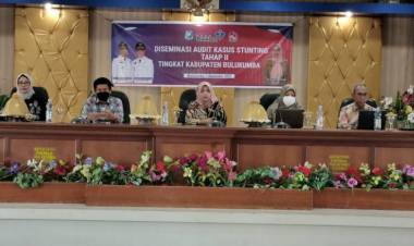 Desiminasi Hasil Audit Kasus Stunting Bulukumba untuk Formulasi Penanganan