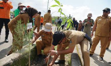Peringati Hari Lingkungan Hidup, DLHK Tanam Pohon di Pantai Merpati