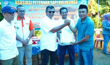 Bulukumba Kembali Pasok Sapi Kurban ke Kalimantan Utara, Dua Kali Lipat dari Tahun Lalu
