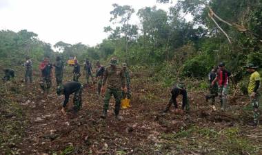 TMMD ke 117 di Lemo Lemo, Pohon Besar Jadi Sasaran Penebangan