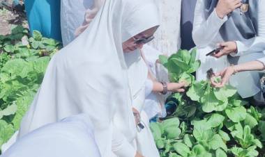 Usai Jalan Santai 1 Muharram, Ketua PKK Bulukumba Kunjungi Rumah Gizi Desa Polewali
