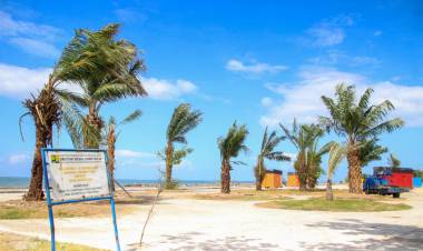Percantik Pantai Merpati, DLHK Tanami Pohon Sawit