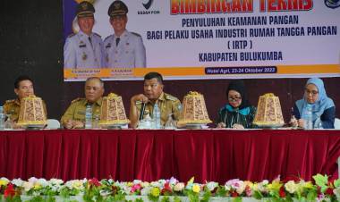 Duet Bersama Ketua Dekranasda, Bupati Andi Utta Ungkap Filosofi Usaha ke IRTP