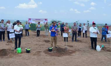 Tanam Pisang di Sinjai, Pj Gubernur Bahtiar : Rupanya Bupati Bulukumba Jadi Investor di Sinjai