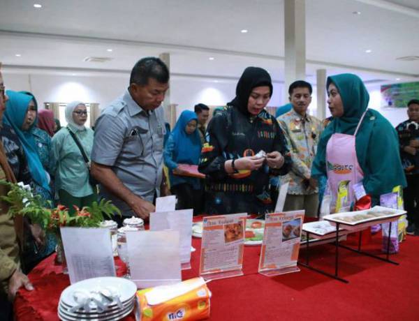 Bupati Bulukumba Ingatkan Penanganan Stunting pada Lomba HKG PKK