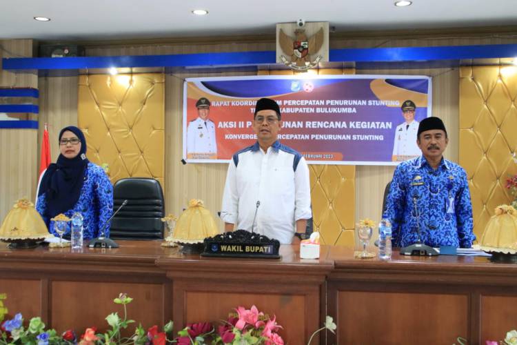 Wabup Edy Manaf Buka Perencanaan Penurunan Stunting Bulukumba 