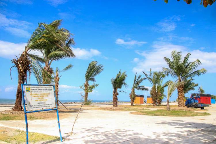 Percantik Pantai Merpati, DLHK Tanami Pohon Sawit