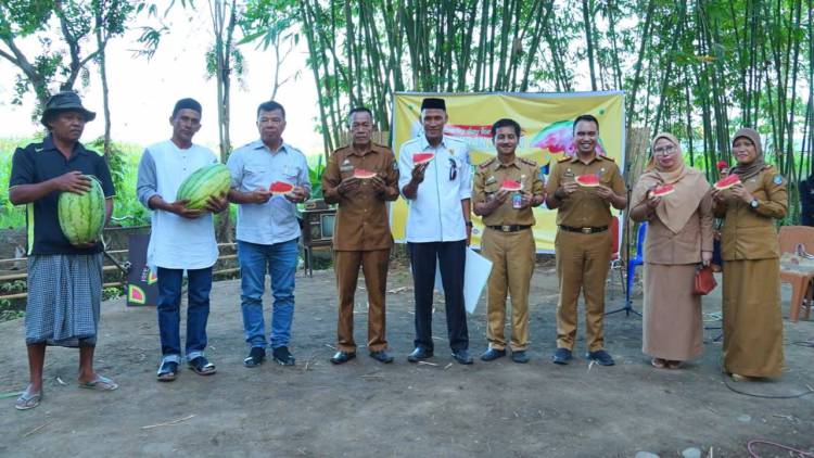 Lelang Harga Semangka Untuk Palestina, Andi Utta Tertinggi Rp60 Juta